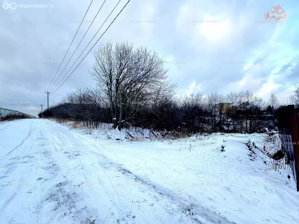 Участок в деревня Мамоново, Дорожная улица (5 м) - Фото 0