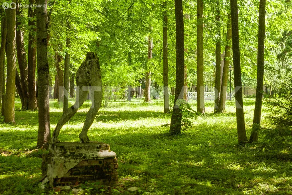 Участок в посёлок Пионерский, КП Покровское-Рубцово (18.66 м) - Фото 2
