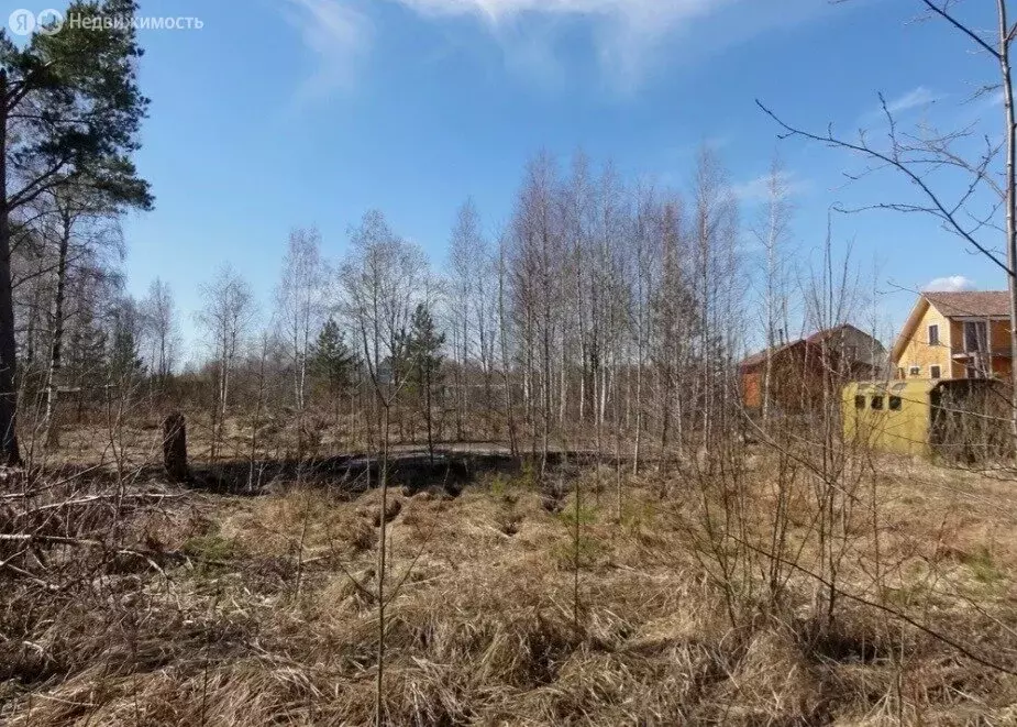 Участок в Ивангородское городское поселение, садоводческое ... - Фото 1