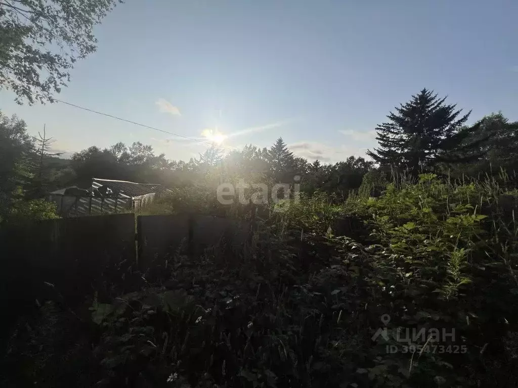 Участок в Сахалинская область, Южно-Сахалинск городской округ, с. ... - Фото 0