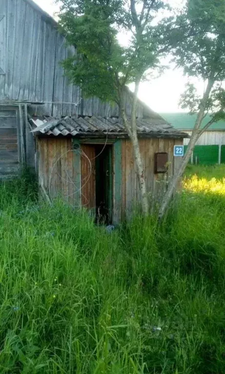 Участок в Архангельская область, Приморский муниципальный округ, пос. ... - Фото 0