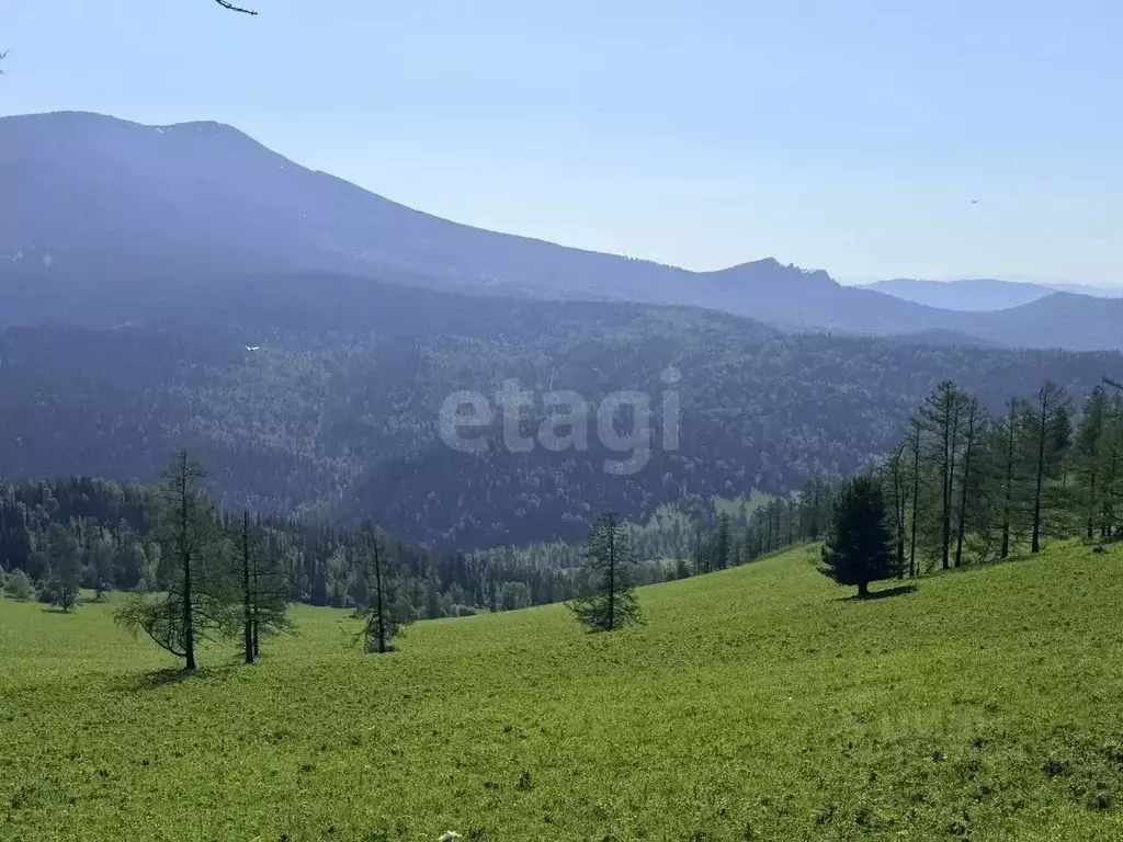 Участок в Алтай, Чемальский район, Элекмонарское с/пос, с. Элекмонар  ... - Фото 1
