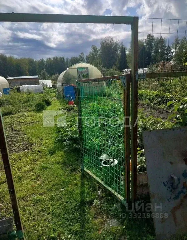 Участок в Новосибирская область, Новосибирск Искра тер., 310 (6.5 ... - Фото 2