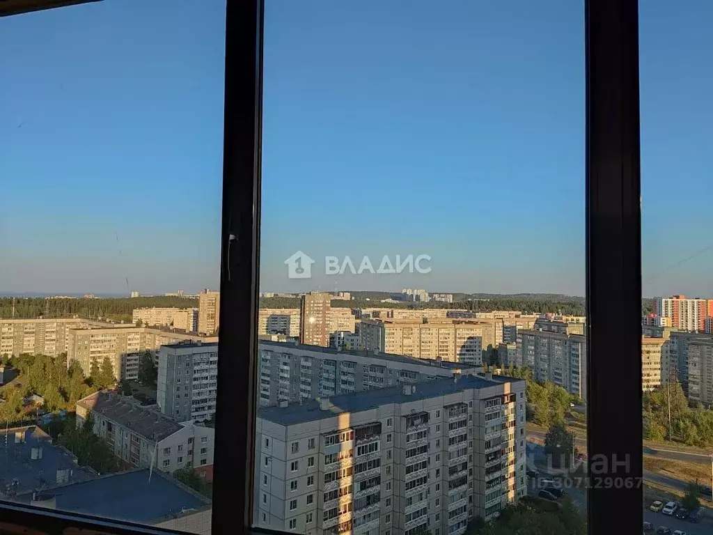 Студия Карелия, Петрозаводск Лососинское ш., 38А (32.8 м) - Фото 1