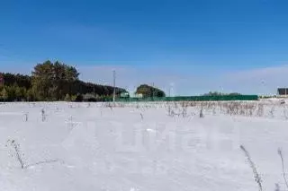 Участок в Тюменская область, Тюменский муниципальный округ, ... - Фото 1