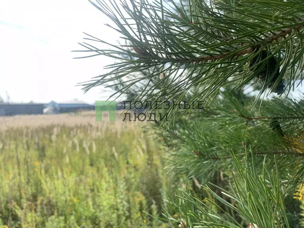 Участок в Завьяловский район, деревня Сизево, Снежная улица (8.74 м) - Фото 0