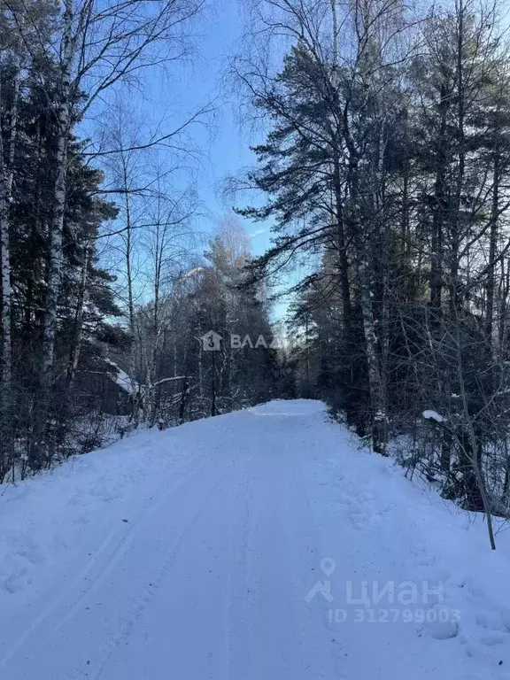 Дом в Нижегородская область, Дальнеконстантиновский муниципальный ... - Фото 0