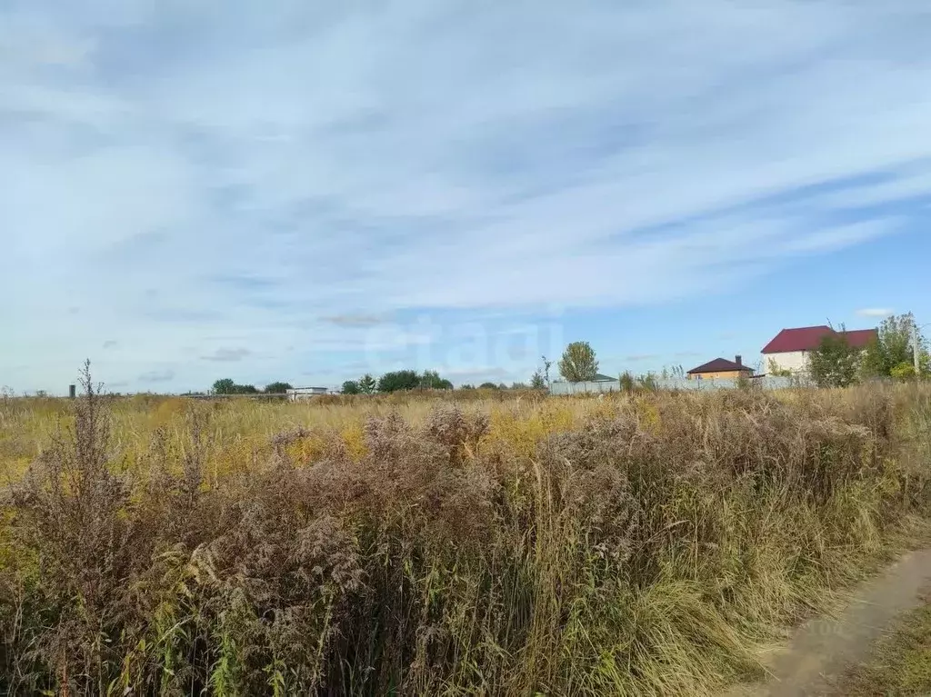 Участок в Брянская область, Брянский район, пос. Мичуринский ул. ... - Фото 1