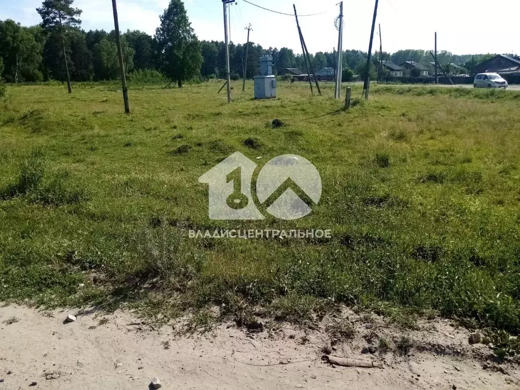 Участок в Новосибирская область, Мошковский район, с. Белоярка  (9.0 ... - Фото 2