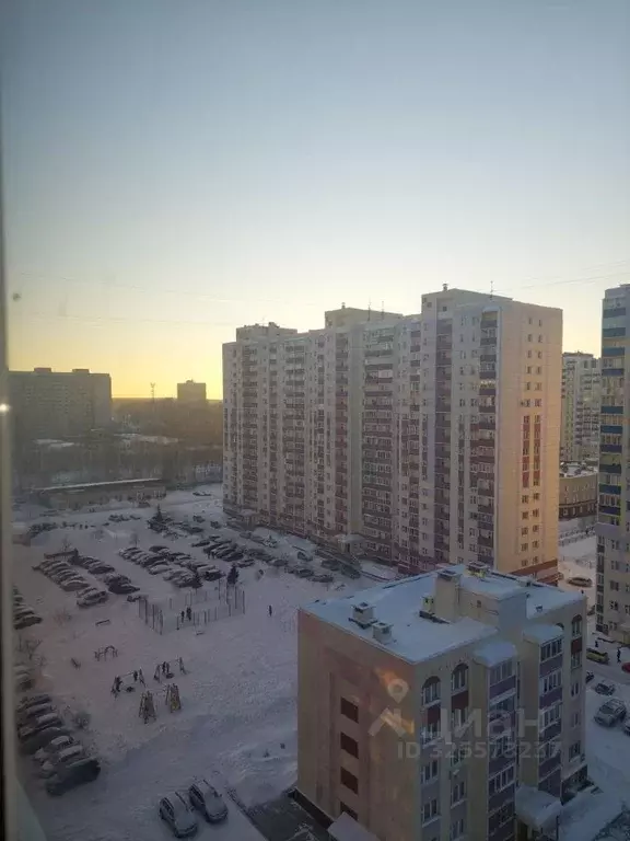 Студия Новосибирская область, Новосибирск ул. Одоевского, 1/2 (17.1 м) - Фото 2