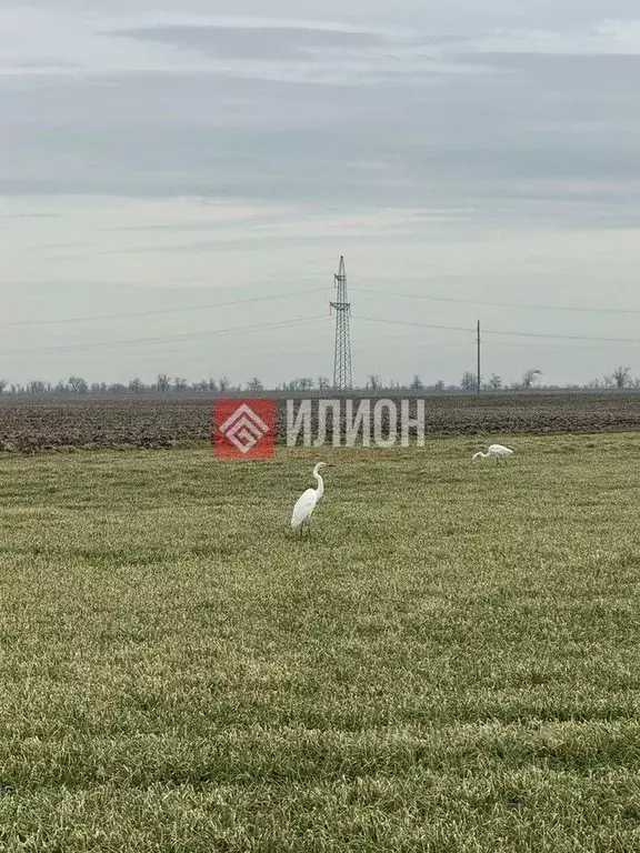 Участок в Крым, Симферопольский район, Николаевка пгт ул. Советская ... - Фото 2