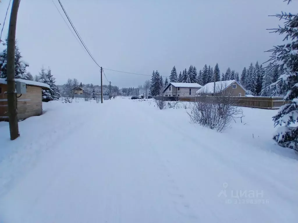 Участок в Ленинградская область, Гатчинский район, Сиверский городской ... - Фото 1