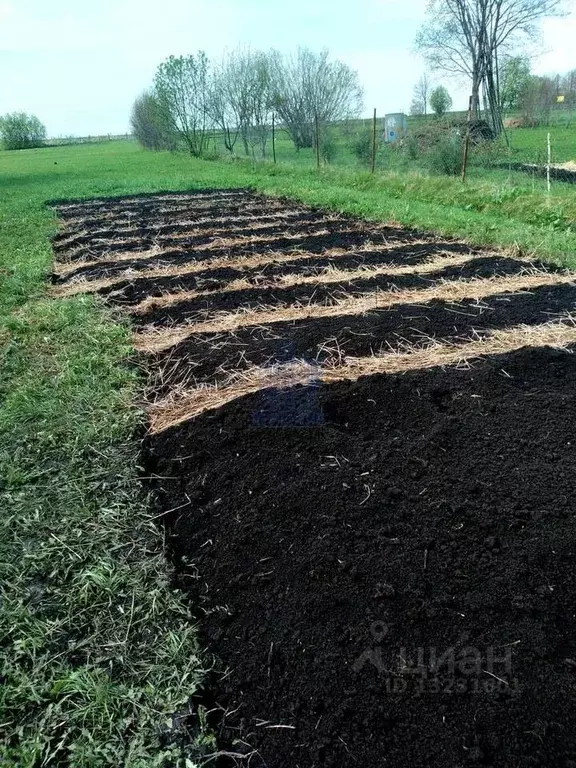 Дом в Чувашия, Моргаушский муниципальный округ, с. Тораево ул. Кирова ... - Фото 1