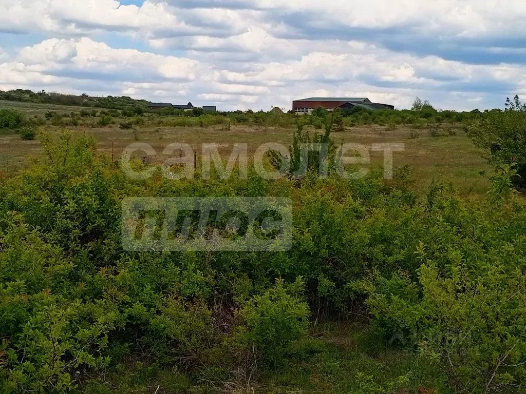 Участок в Крым, Симферопольский район, Трудовское с/пос, с. Ивановка ... - Фото 2