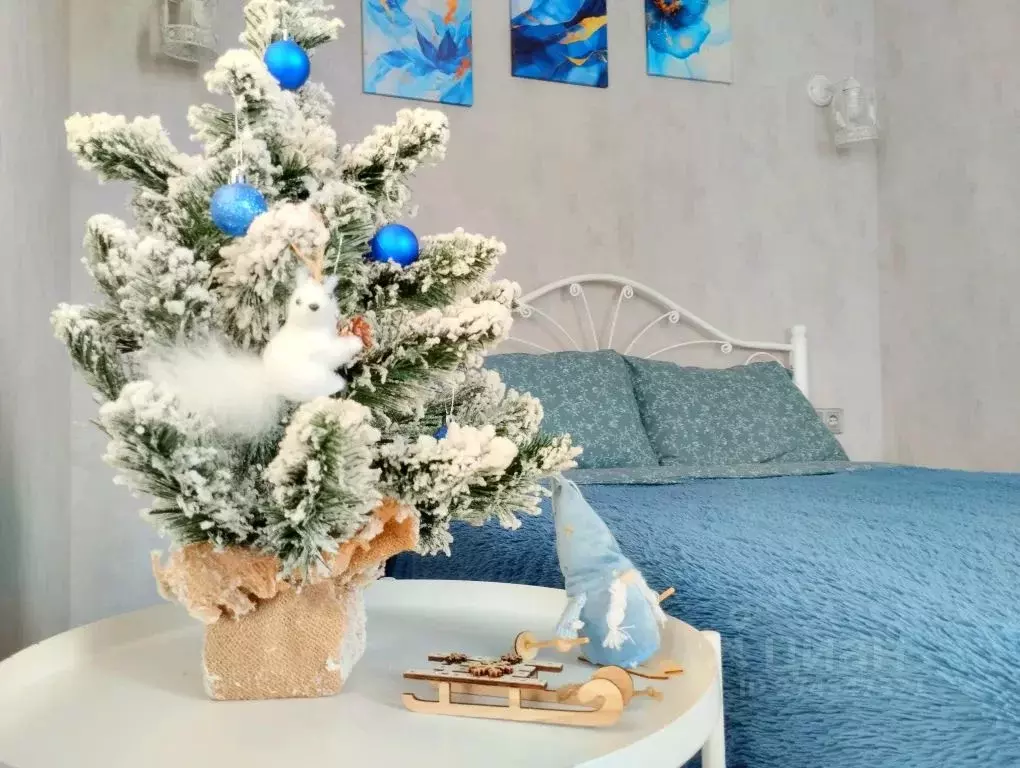 1-к кв. Новосибирская область, Новосибирск Обская ул., 46/2 (27.0 м) - Фото 2