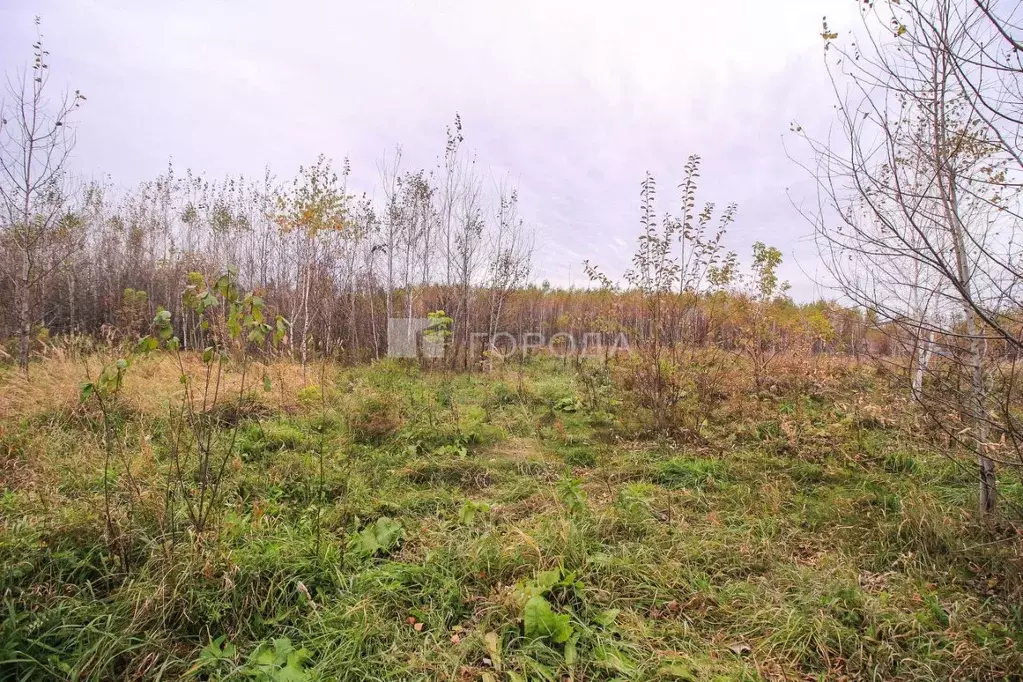 Участок в Алтайский край, Новоалтайск пл. Вечного огня (3.2 сот.) - Фото 2