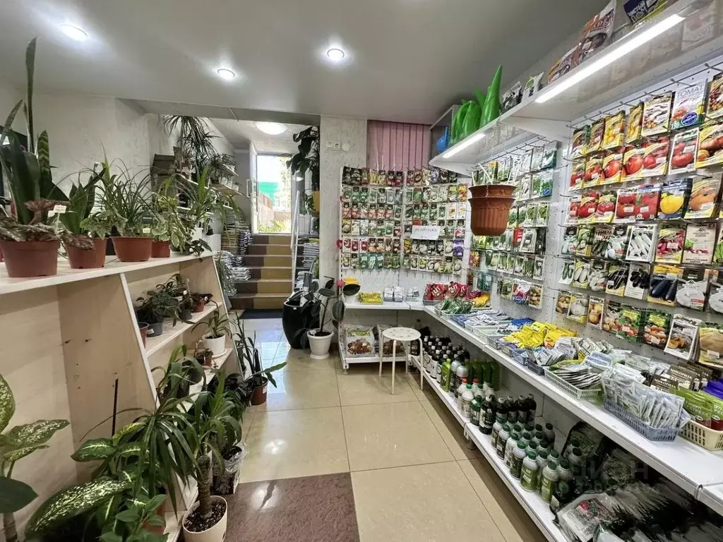 Помещение свободного назначения в Краснодарский край, Анапа ул. ... - Фото 2