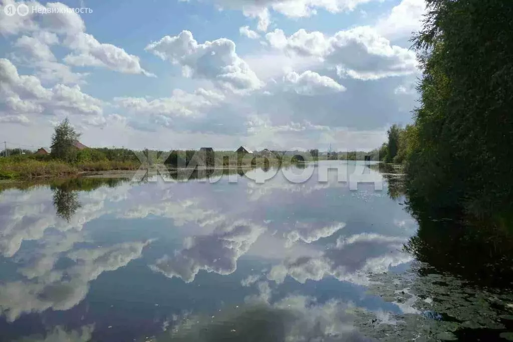 Участок в Колыванский район, садовые участки Лира (11.53 м) - Фото 1