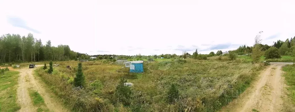 Участок в Ленинградская область, Кингисеппский район, Нежновское ... - Фото 1