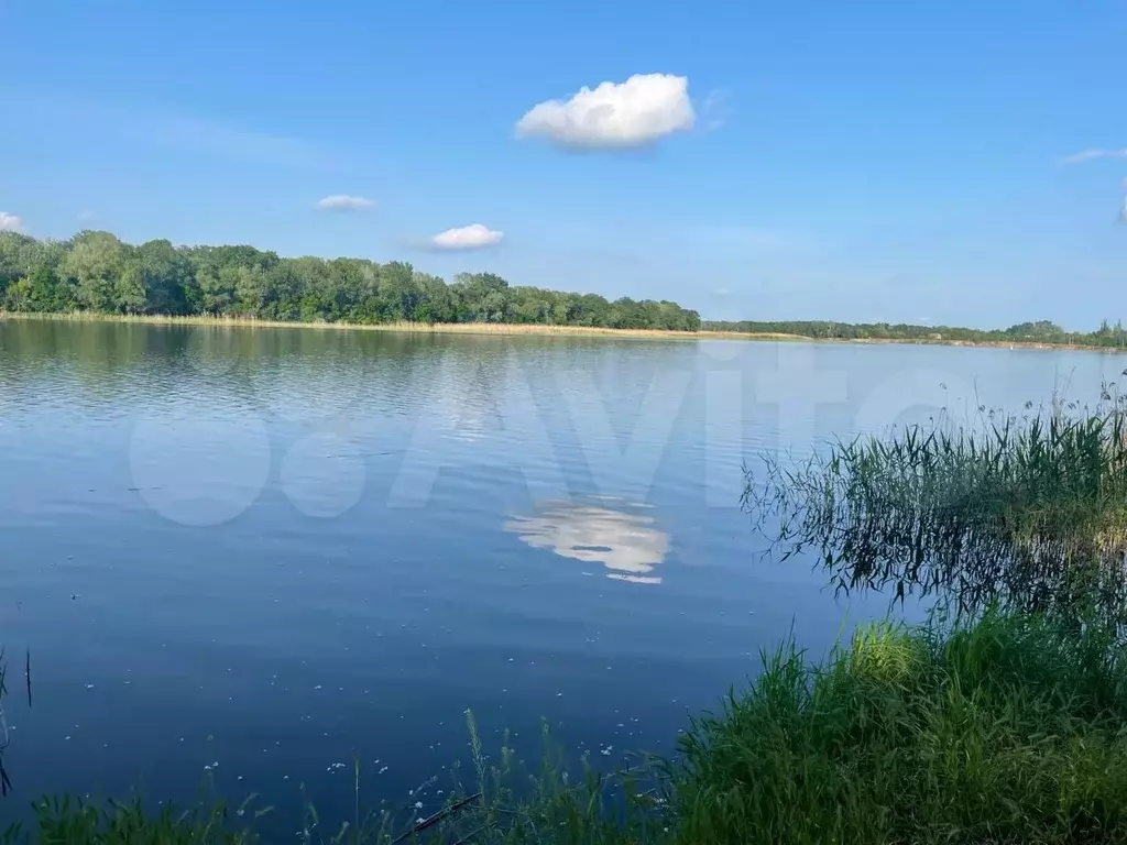 Участок 10 га (СНТ, ДНП) - Фото 0