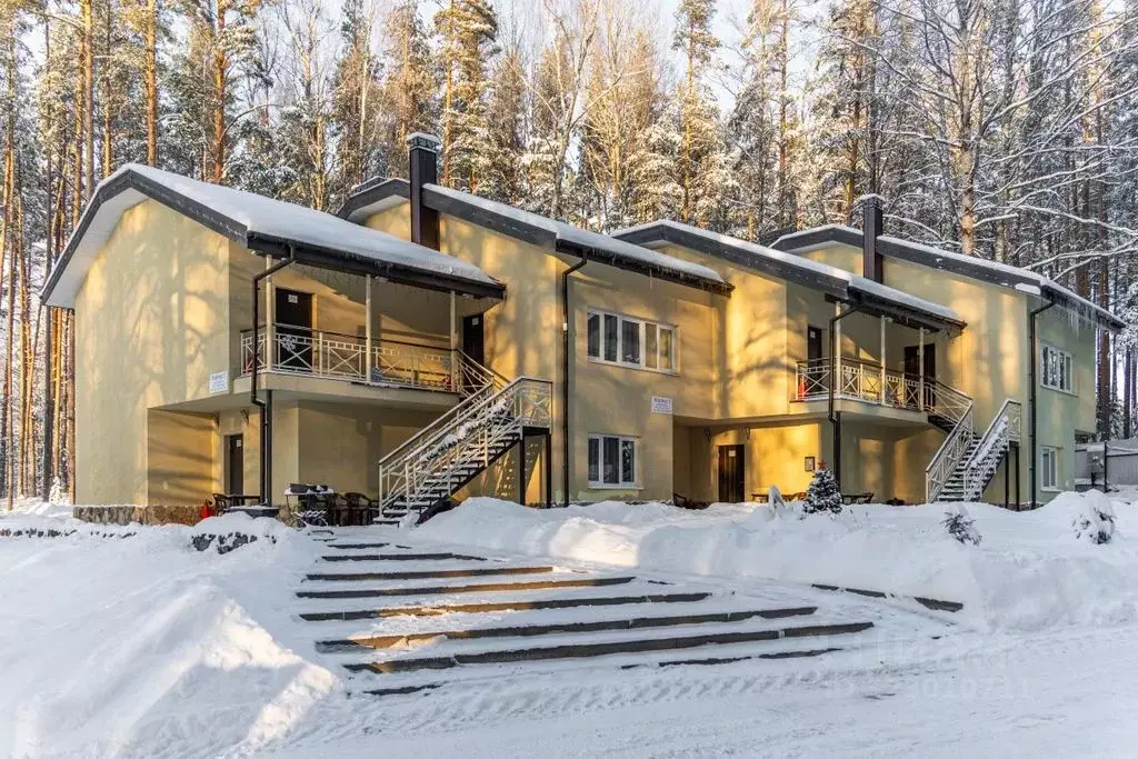 Студия Ленинградская область, Приозерский район, Ромашкинское с/пос, ... - Фото 2