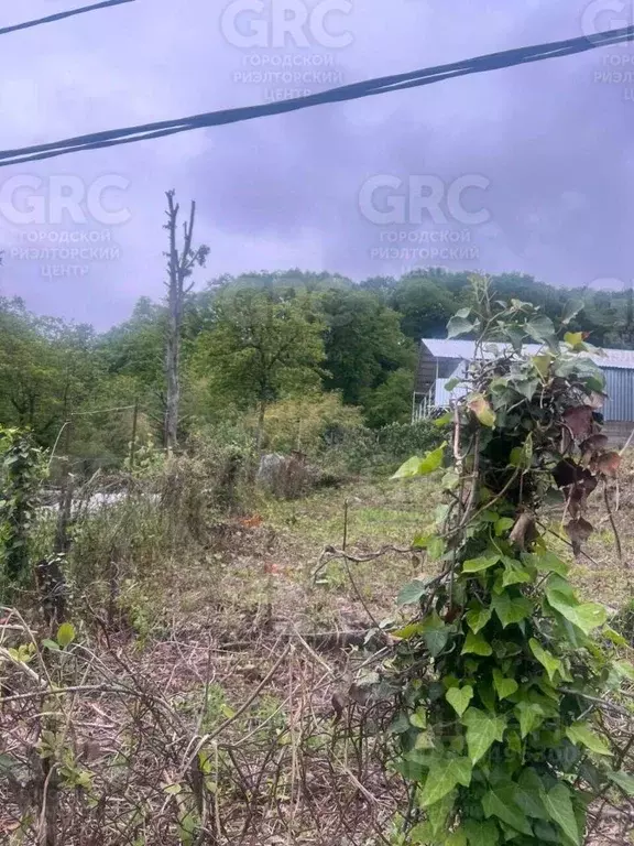Участок в Краснодарский край, Сочи городской округ, с. ... - Фото 2