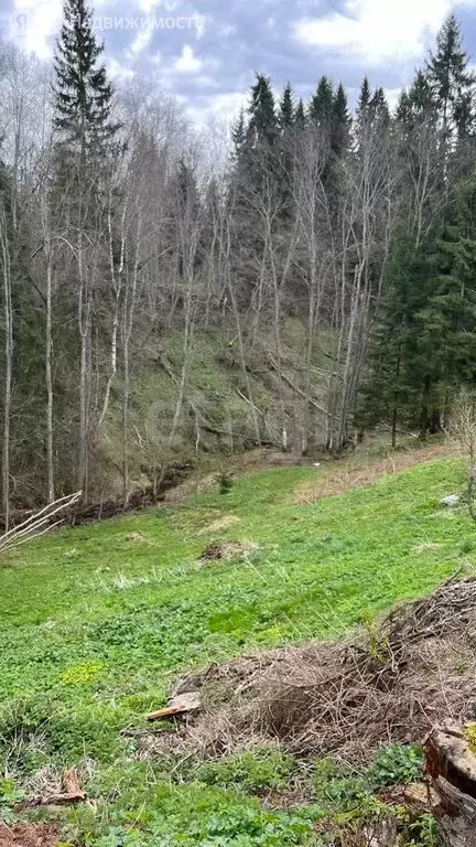 Участок в Будогощское городское поселение, деревня Рахово (22 м) - Фото 1
