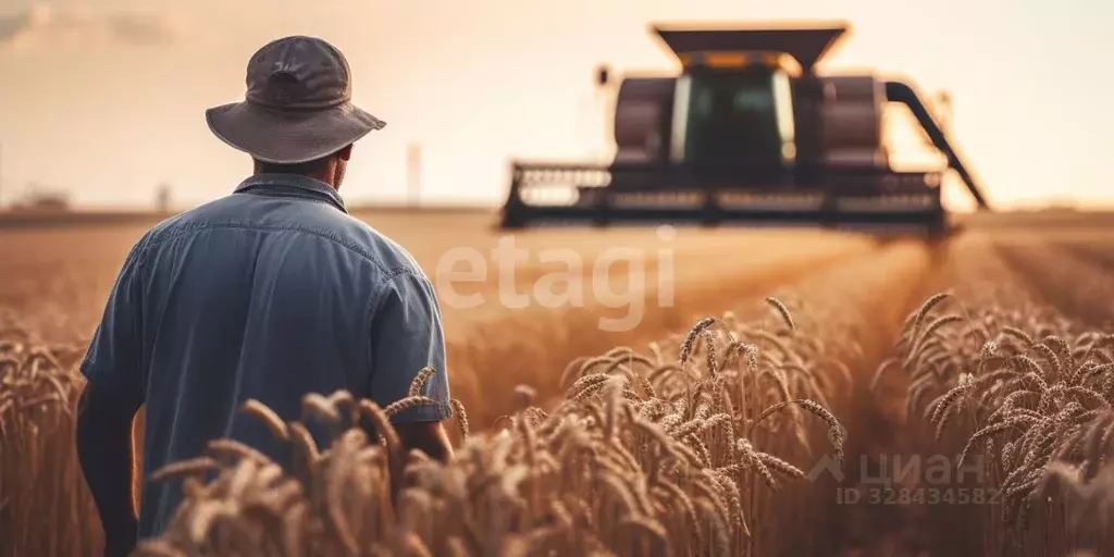 Участок в Красноярский край, Сосновоборский муниципальный округ, д. ... - Фото 1