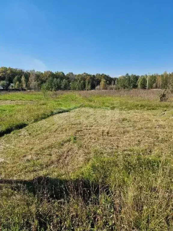 Участок в Башкортостан, Иглинский сельсовет, д. Петрово-Федоровка  ... - Фото 1