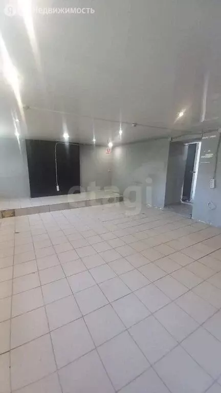 Помещение свободного назначения (56 м) - Фото 2