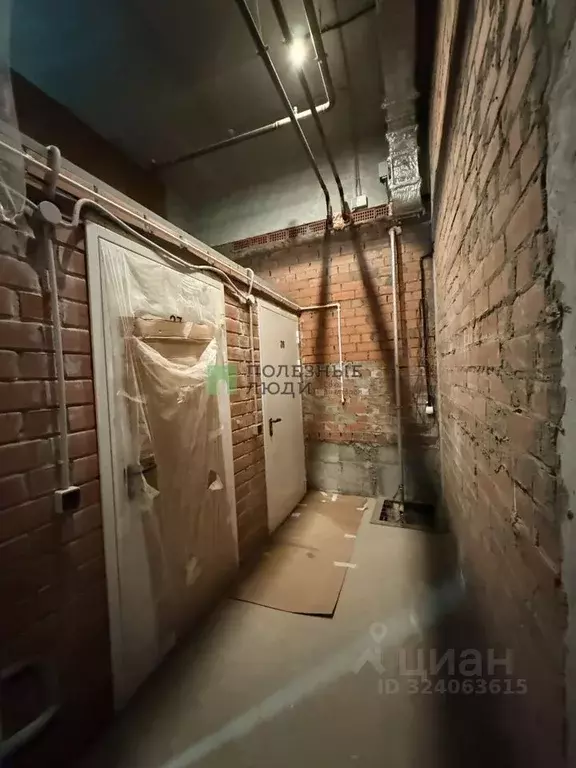 Помещение свободного назначения в Курганская область, Курган ул. Коли ... - Фото 2