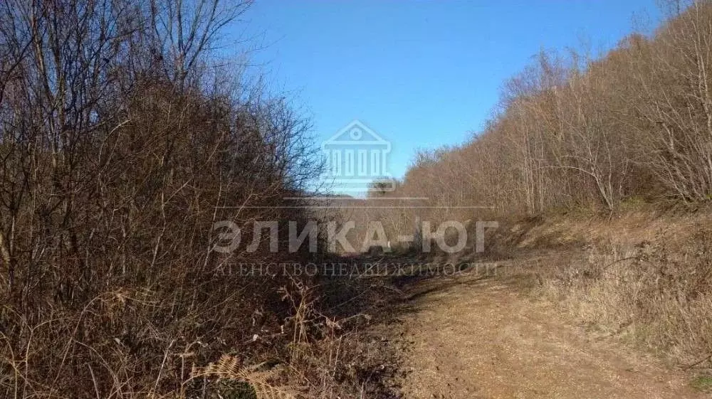 Участок в Краснодарский край, Туапсинский муниципальный округ, ... - Фото 0
