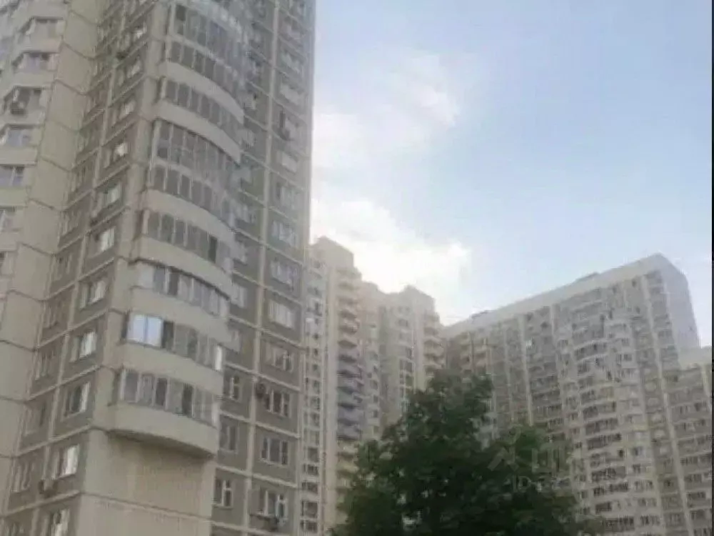 Торговая площадь в Московская область, Химки Молодежная ул., 70 (190 ... - Фото 1