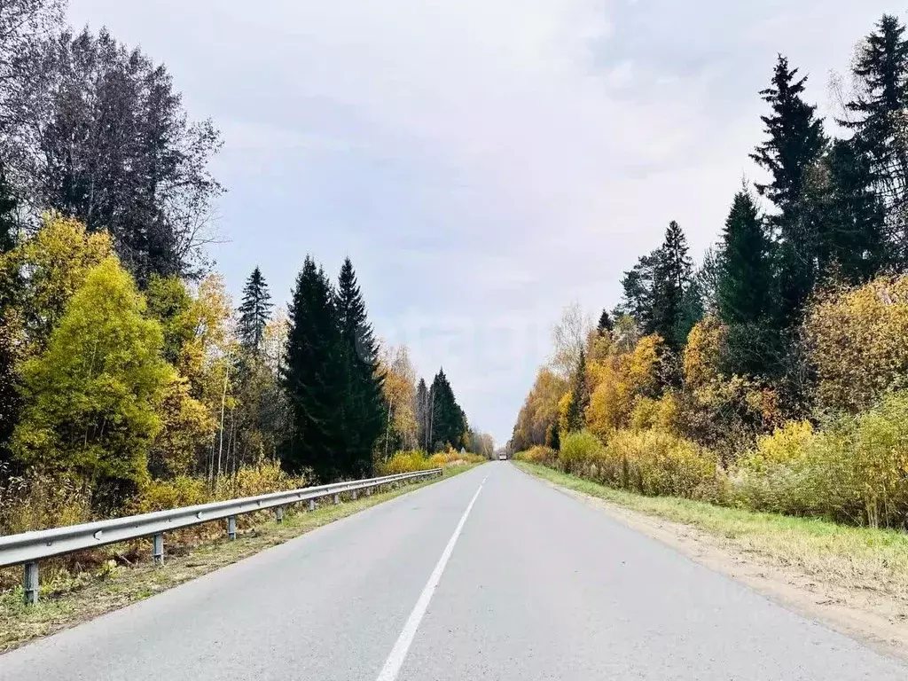 Участок в Костромская область, Костромской район, Никольское с/пос, ... - Фото 2
