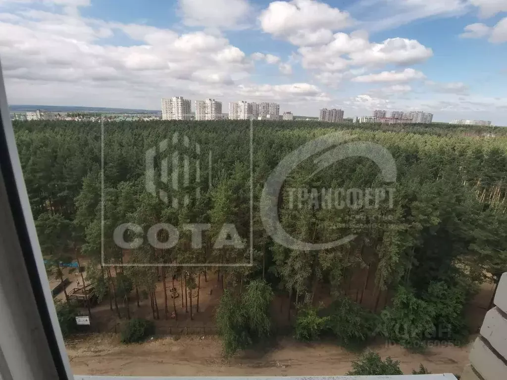 3-к кв. Воронежская область, Воронеж ул. Владимира Невского, 25/8 ... - Фото 1