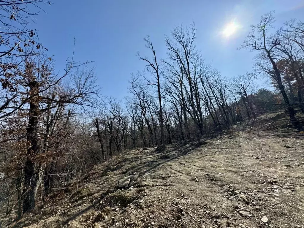 Участок в Крым, Ялта муниципальный округ, Виноградное пгт Космос Стей ... - Фото 2