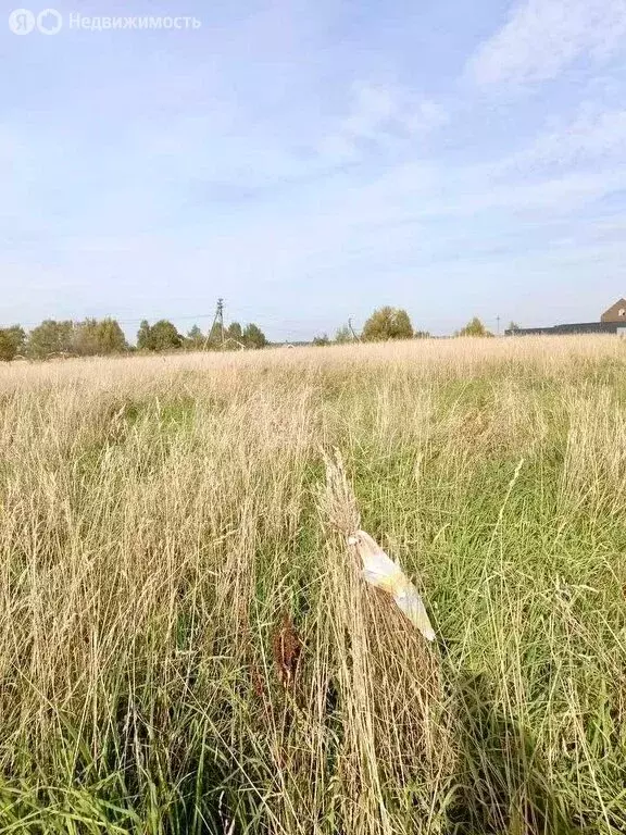 Участок в Шунга, Коробейниковская улица (8.6 м) - Фото 1