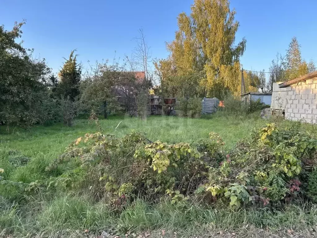 Участок в Калининградская область, Калининград Чайка СНТ, ул. ... - Фото 1