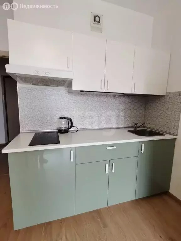 Квартира-студия: Кудрово, Столичная улица, 4к3 (26 м) - Фото 1