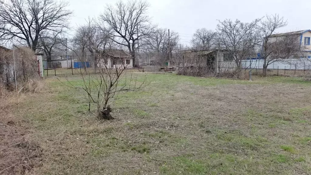 Участок в Краснослободск, садовое товарищество Опытник-3, Абрикосовая ... - Фото 2