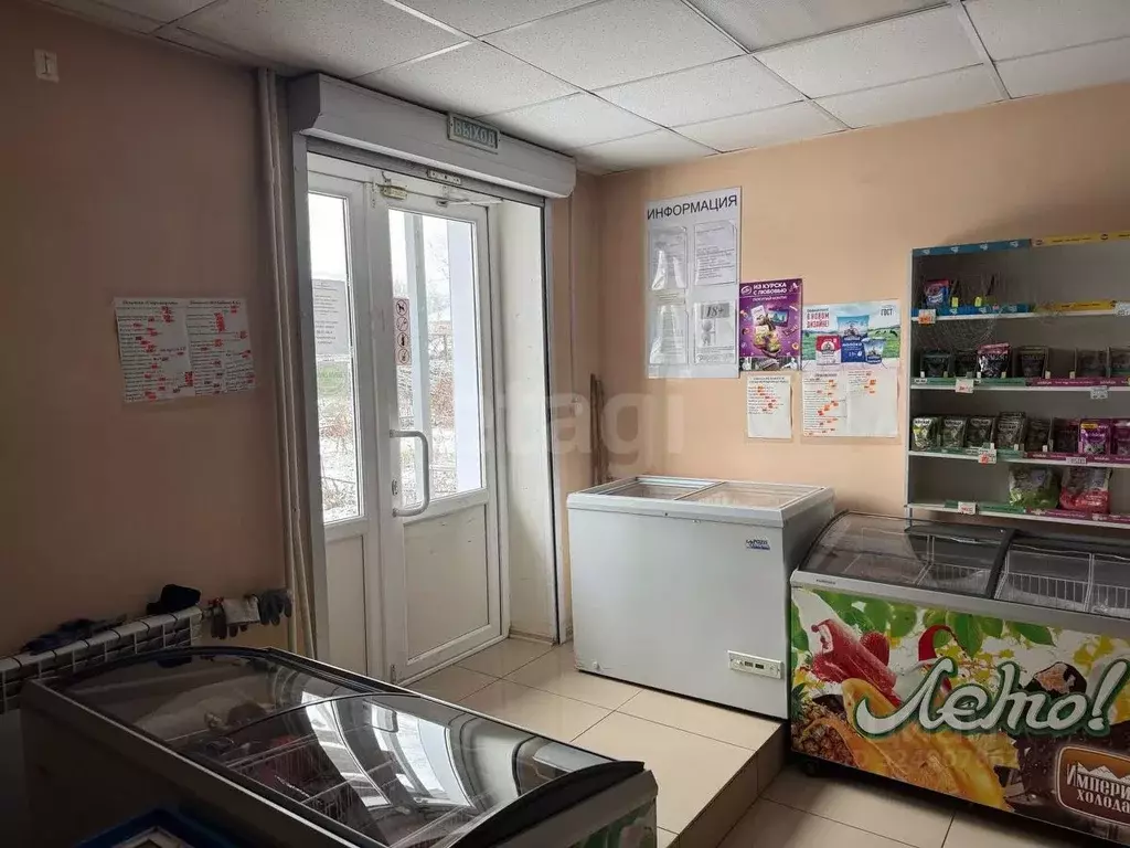 Торговая площадь в Пензенская область, Пенза ул. Бурмистрова, 1 (54 м) - Фото 2