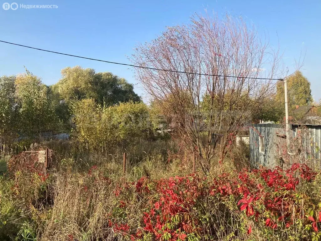 Участок в Московская область, городской округ Домодедово, деревня ... - Фото 1