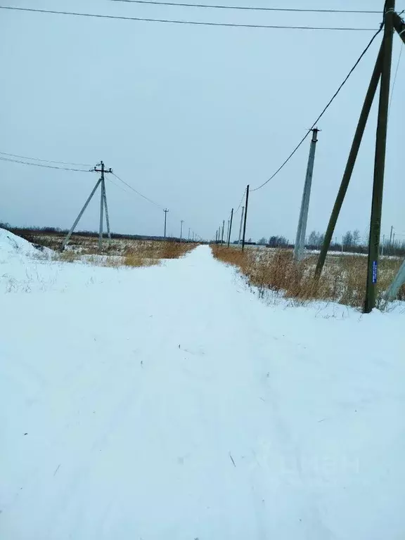 Участок в Тюменская область, Тюмень Большое Царево-2 СНТ,  (10.0 сот.) - Фото 1