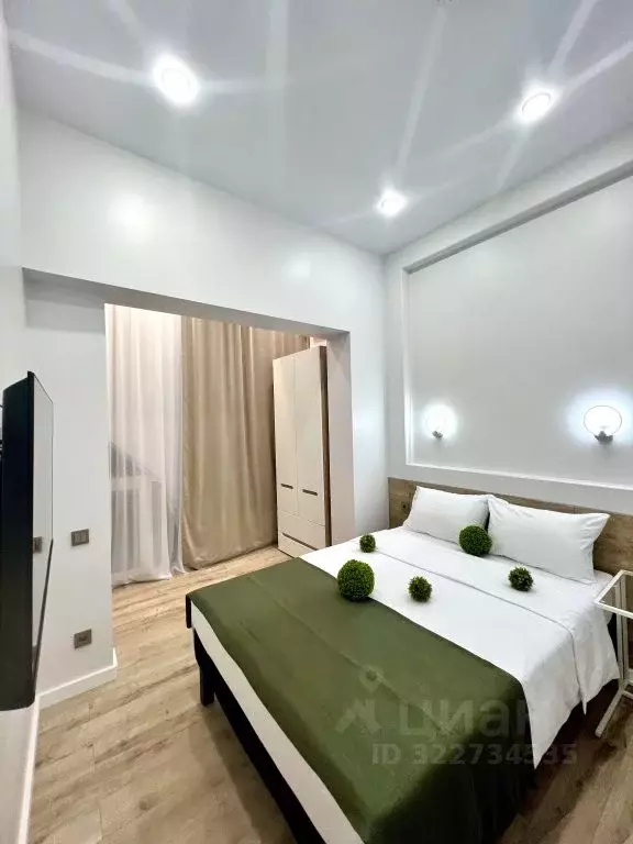 2-к кв. Краснодарский край, Сочи Центральный мкр, ул. Роз, 36 (42.0 м) - Фото 2