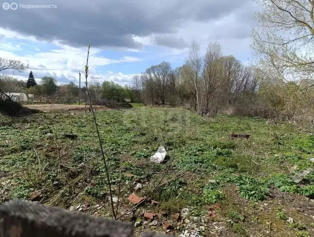 Участок в Козельск, улица Веденеева (13.88 м) - Фото 2