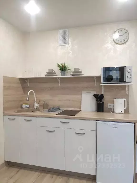 Студия Башкортостан, Уфа ул. Мира, 47 (28.0 м) - Фото 2