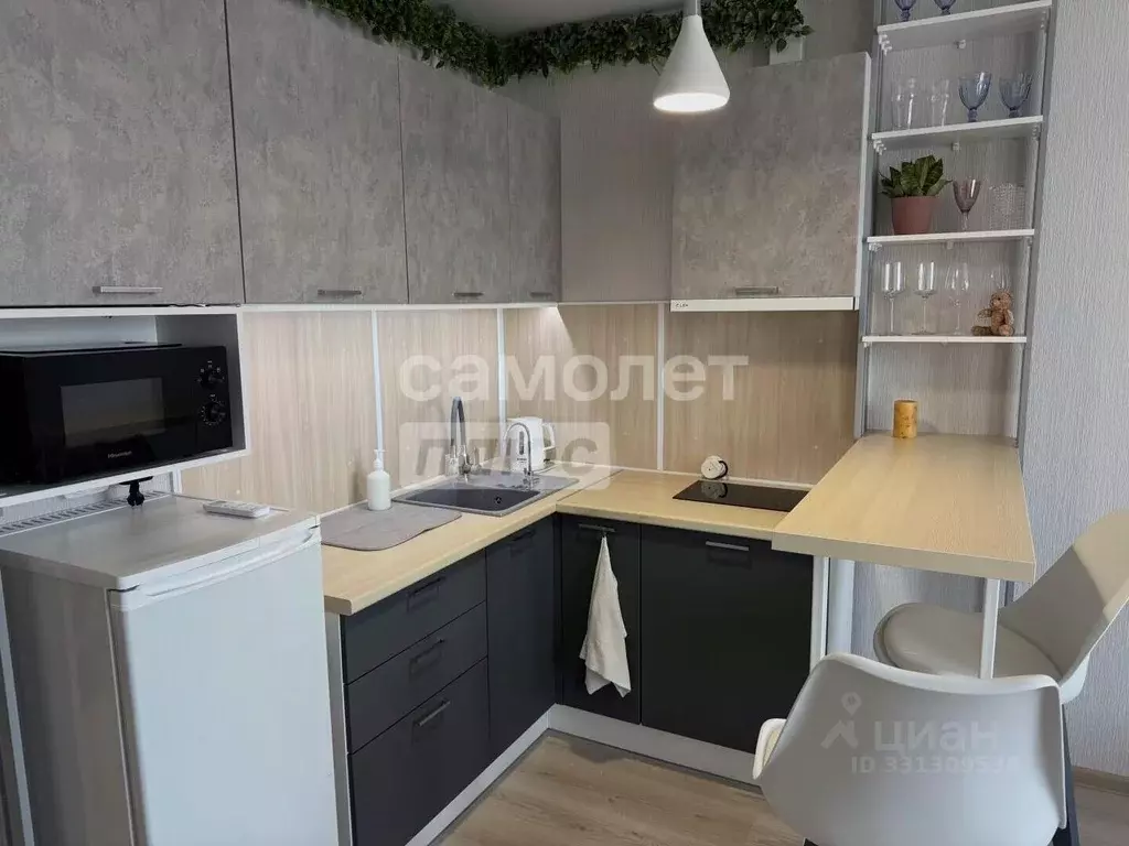 Студия Пермский край, Пермь ул. Архитектора Свиязева, 31 (26.8 м) - Фото 2