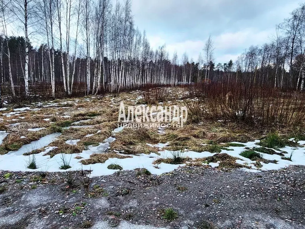 Участок в Ленинградская область, Приозерский район, Ларионовское ... - Фото 0