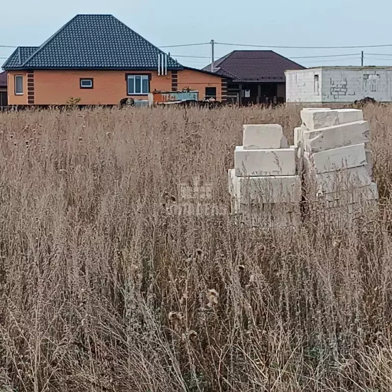 Участок в Воронежская область, Лискинский район, Высокинское с/пос, с. ... - Фото 2