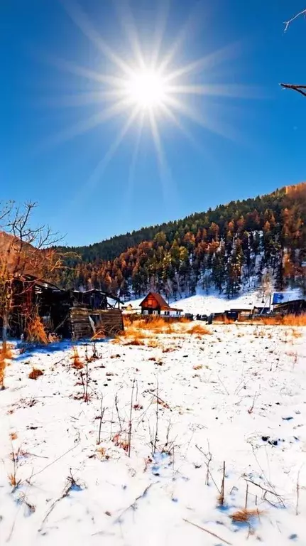Участок в Алтай, Чемальский район, Элекмонарское с/пос, с. Элекмонар ... - Фото 1